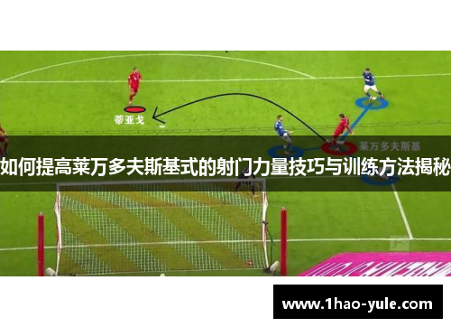 如何提高莱万多夫斯基式的射门力量技巧与训练方法揭秘