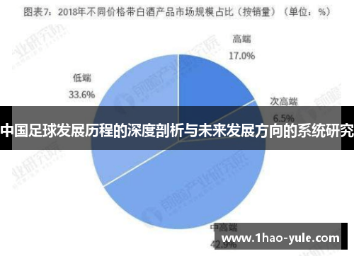 中国足球发展历程的深度剖析与未来发展方向的系统研究