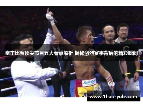 拳击比赛顶尖节目五大看点解析 揭秘激烈赛事背后的精彩瞬间