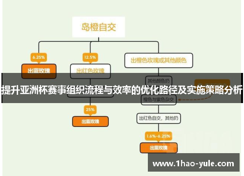 提升亚洲杯赛事组织流程与效率的优化路径及实施策略分析