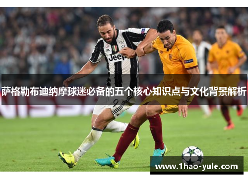 萨格勒布迪纳摩球迷必备的五个核心知识点与文化背景解析