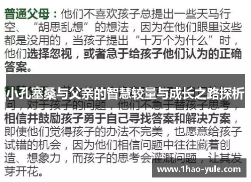 小孔塞桑与父亲的智慧较量与成长之路探析